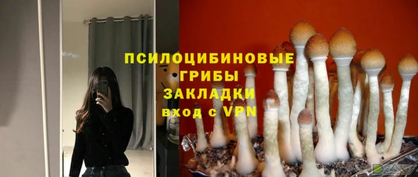 соль ск Нефтекумск