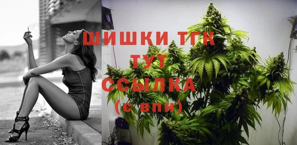 крисы Нея