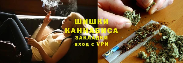крисы Нея